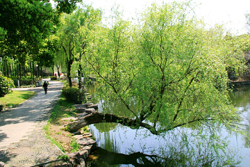 月湖公园第 47 张图片