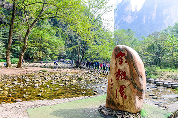 金鞭溪峡谷第 22 张图片