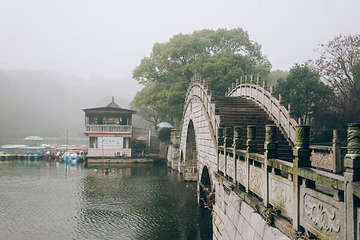 君山岛景区第 22 张图片