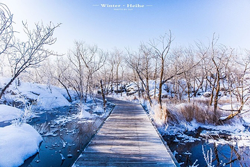 温泊景区第 3 张图片