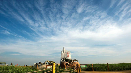东方华地城湿地风景区第 15 张图片