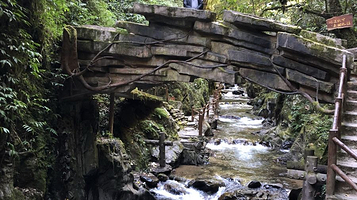 哀牢山森林旅游区