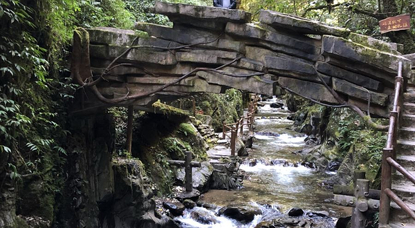 哀牢山森林旅游区