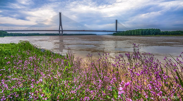 济南黄河大桥