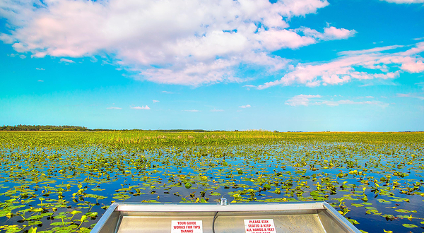 大沼泽地游猎公园