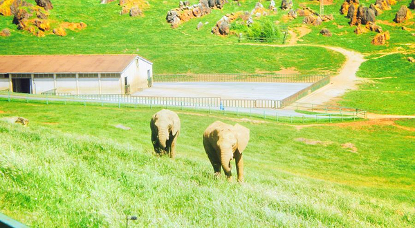 Cabarceno Nature Park