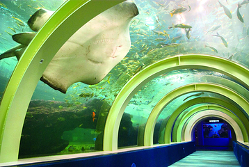 浅虫水族馆第 1 张图片