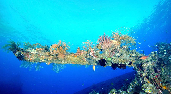 “自由号”沉船