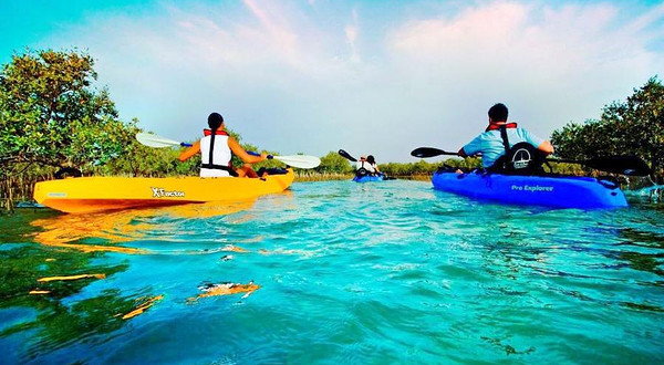 阿布扎比红树林皮划艇体验