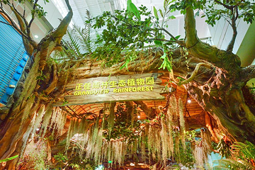 正佳雨林生态植物园第 97 张图片