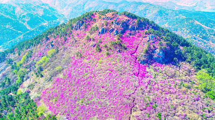 灵鹫山第 1 张图片
