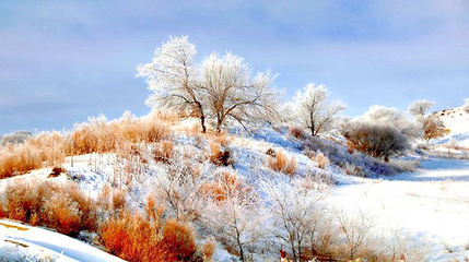 亚雪驿站十里画廊第 7 张图片