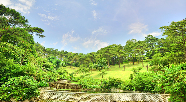 越南波围国家公园