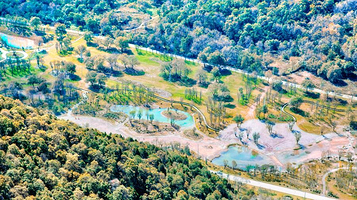 照金丹霞国家地质公园