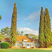 凯伦布里克森博物馆