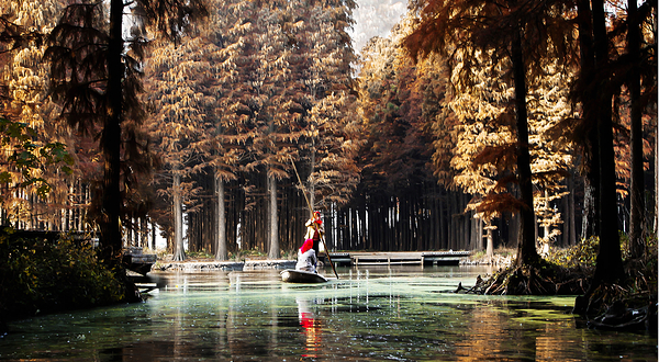 李中水上森林公园