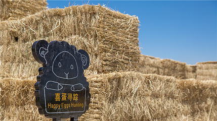 华夏河图银川艺术小镇第 56 张图片