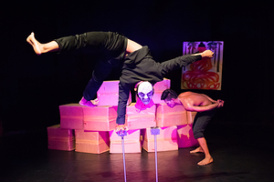 暹粒马戏团表演