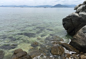 西岛第 265 张图片