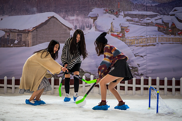 飘雪世界第 17 张图片