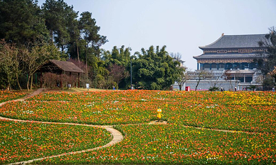 石象湖景区第 31 张图片