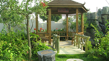 养生源蜜蜂王国