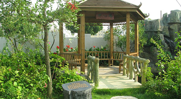 养生源蜜蜂王国