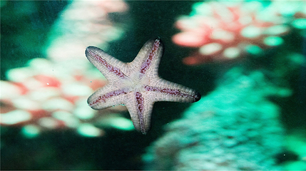 沈阳海洋探索中心第 29 张图片