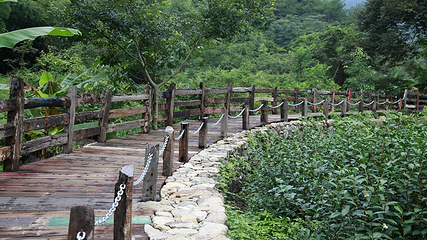 雁南飞茶田景区-桥溪古韵第 26 张图片