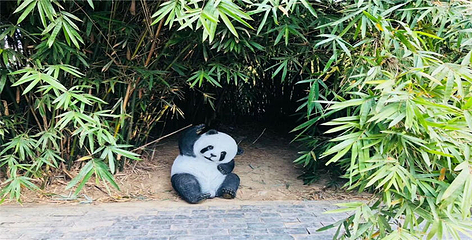 双沟酒文化旅游区第 36 张图片
