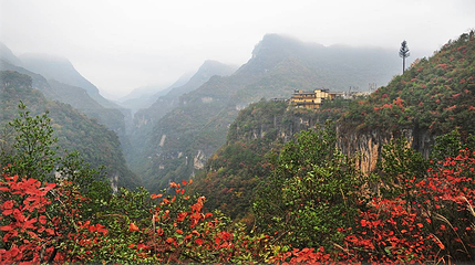 九路寨生态旅游区第 121 张图片