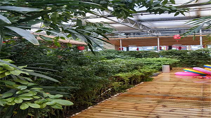 嘉禾水立方第 21 张图片