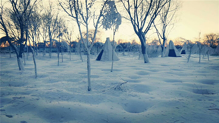 南湖乐众冰雪世界第 31 张图片