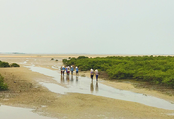 北海金海湾红树林生态旅游区第 56 张图片