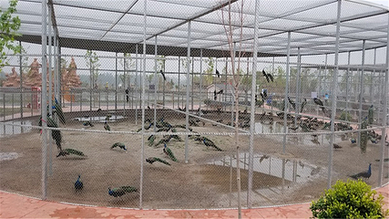 诸城市动物园第 10 张图片