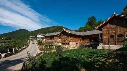 野三关森林花海第 30 张图片