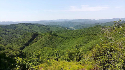 参仙谷生态旅游度假区第 5 张图片