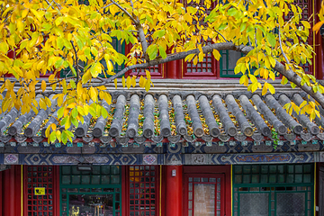 潭柘寺第 26 张图片