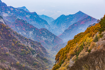 少华山国家森林公园第 22 张图片