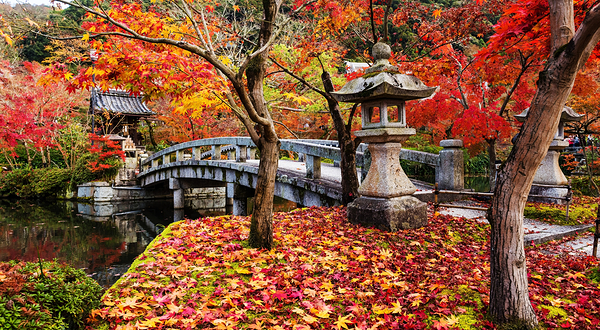 禅林寺 (永観堂)
