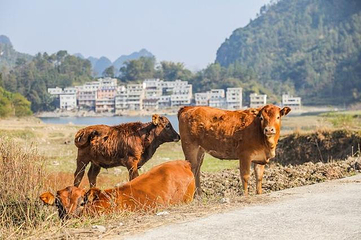大龙湖景区第 6 张图片