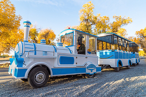 额济纳胡杨林旅游区