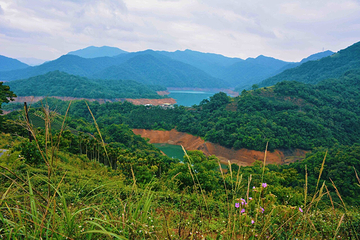 Shihding Ciandao Lake第 6 张图片