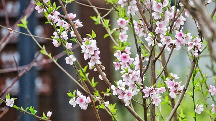 无锡阳山桃花源景区第 8 张图片