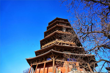 应县木塔景区第 135 张图片