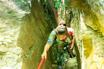 天女山森林公园第 21 张图片