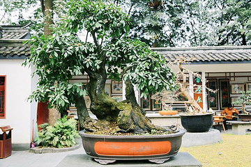 百花潭公园第 5 张图片