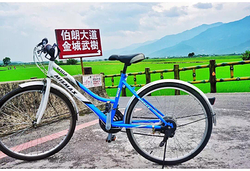 伯朗大道第 23 张图片