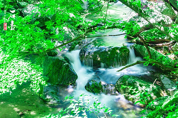 醉山野景区第 46 张图片