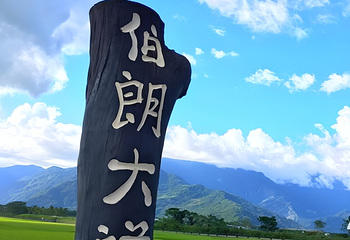 伯朗大道第 25 张图片
